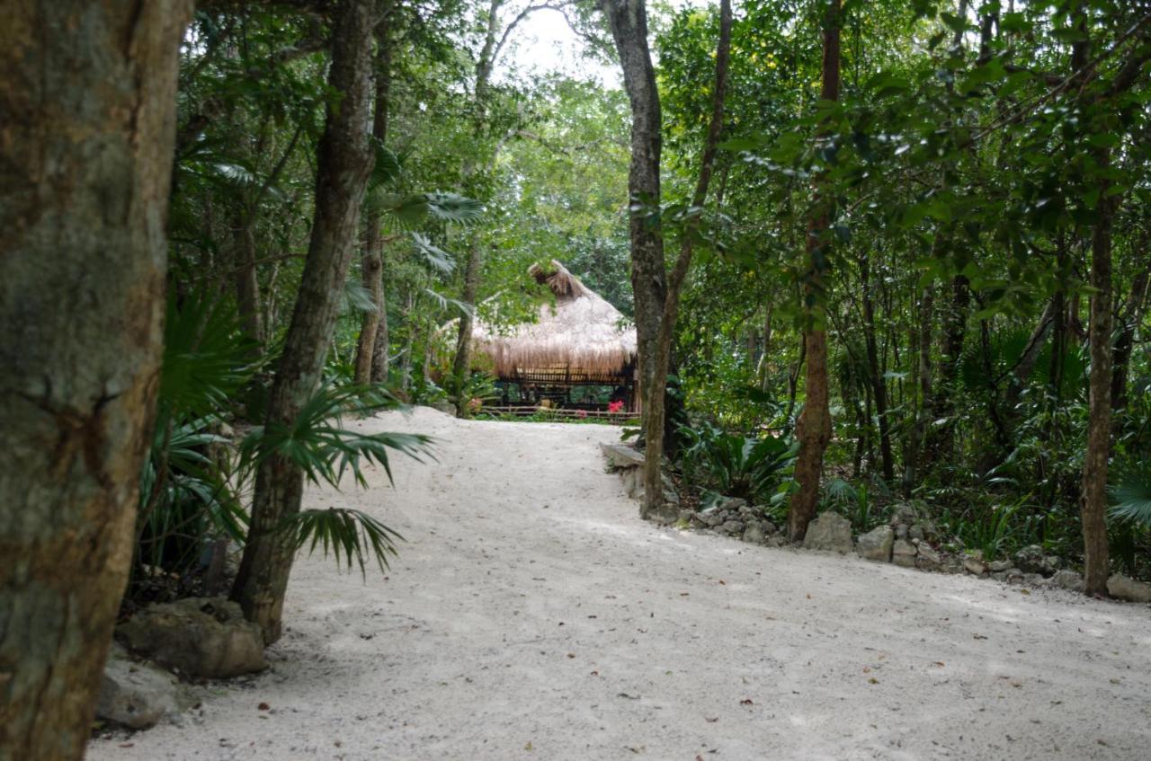 Hotel Rotamundos Mama Loomm Playa del Carmen Esterno foto