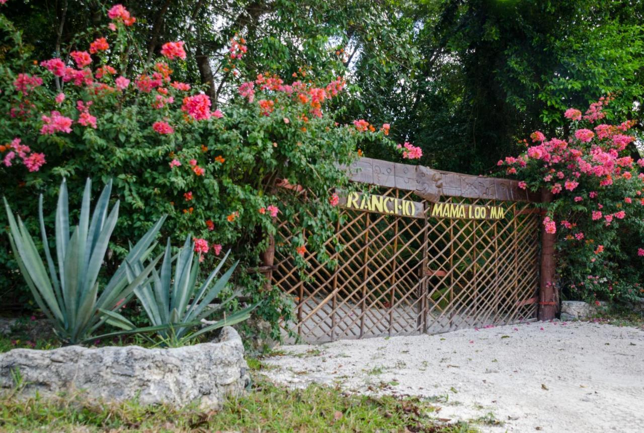 Hotel Rotamundos Mama Loomm Playa del Carmen Esterno foto